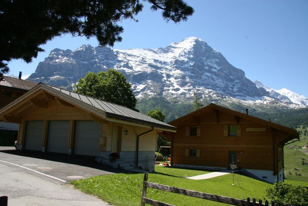 Chalet Baergbaechli Гріндельвальд Екстер'єр фото