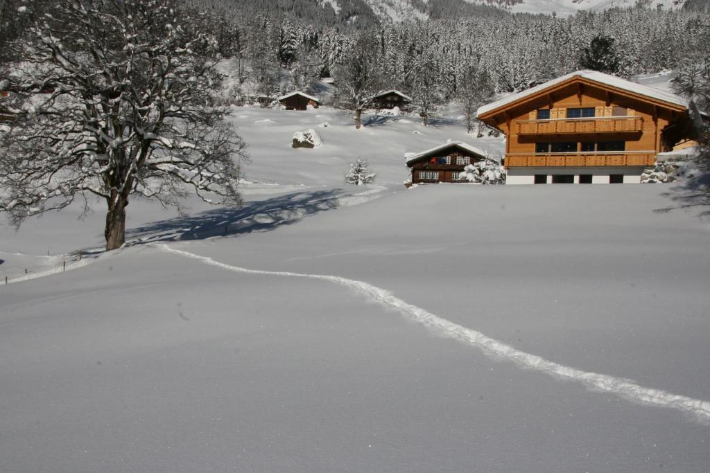 Chalet Baergbaechli Гріндельвальд Екстер'єр фото
