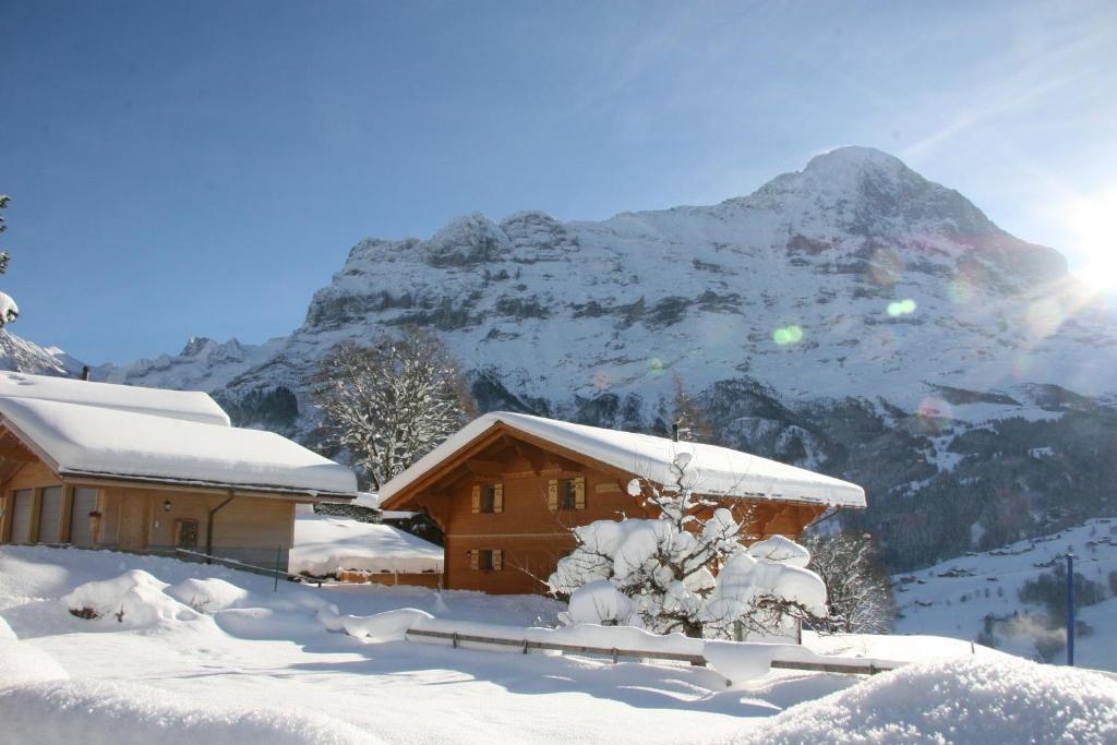 Chalet Baergbaechli Гріндельвальд Екстер'єр фото
